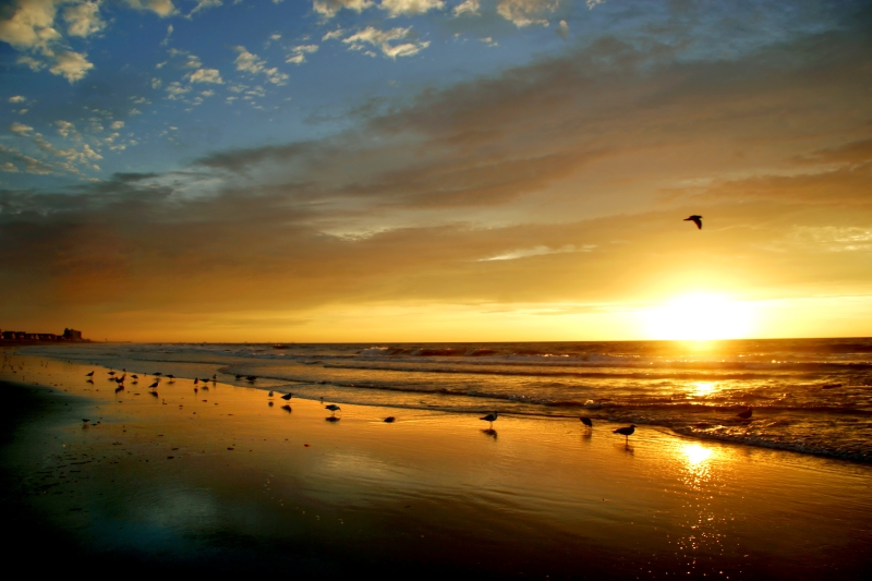 shore sunrise 2 � Dave Hickey (hicspix)